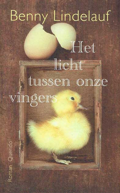 Omslag van Het licht tussen onze vingers